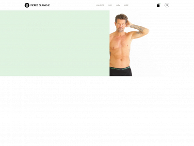 pierreblanche.dk snapshot