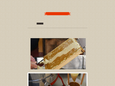 jammerbugthonning.dk snapshot