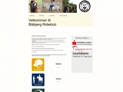 blaak.dk snapshot