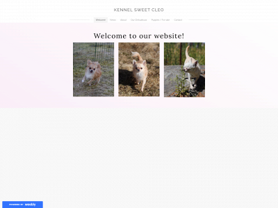 sweetcleo.weebly.com snapshot