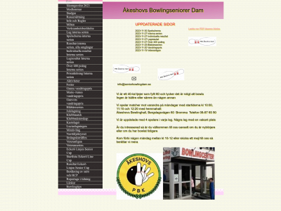 seniorbowlingdam.se snapshot