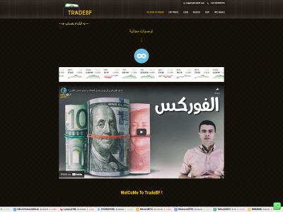 tradebf.com snapshot
