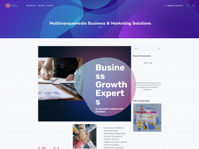 multimarquemedia.com snapshot