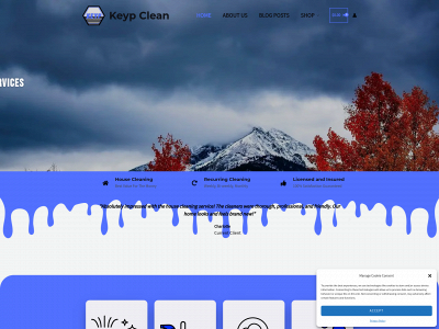 keypclean.co snapshot