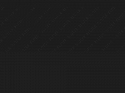 bloier.com snapshot