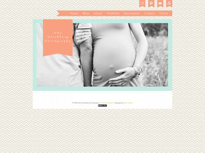 amyhershbergphotography.com snapshot