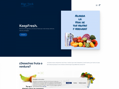 bluetecksystems.es snapshot