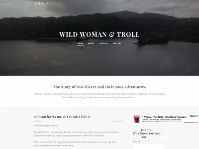 www.wildwomanandtroll.com snapshot