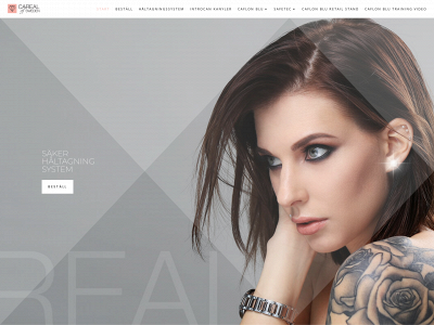 careal.se snapshot