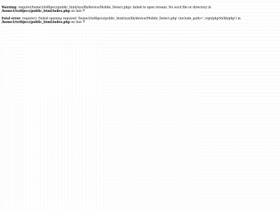 tendirevi.com snapshot