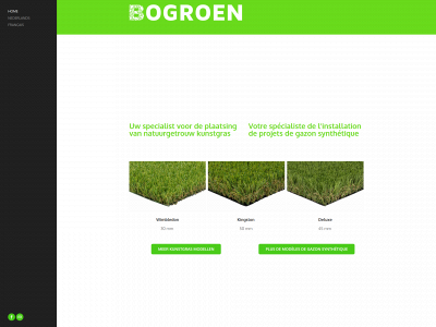 www.bogroen.be snapshot