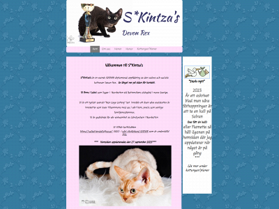 kintzas.se snapshot