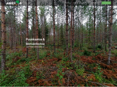 amep.fi snapshot