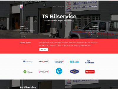 tsbilservice.com snapshot