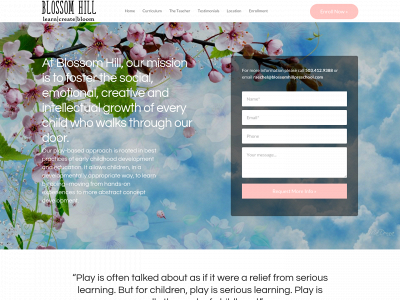 blossomhillpreschool.com snapshot