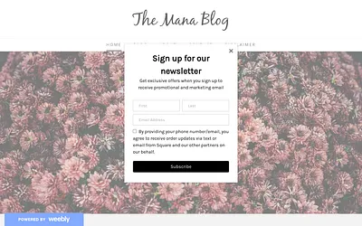 themanablog.weebly.com snapshot