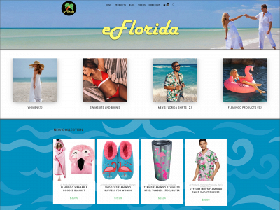 eflorida.net snapshot