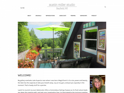 www.austinmillerstudio.com snapshot