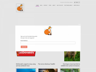 actionforearth.weebly.com snapshot
