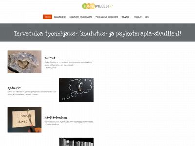 www.tunnemielesi.fi snapshot