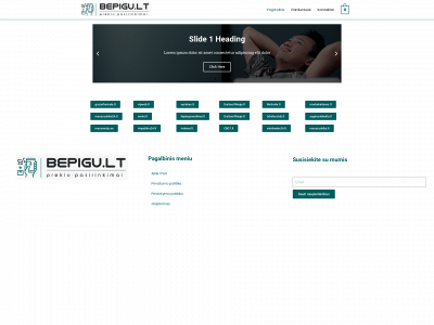 bepigu.lt snapshot