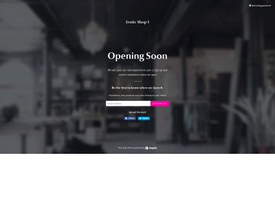 eroticshop1.com snapshot