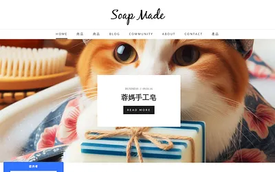 soapmade.weebly.com snapshot
