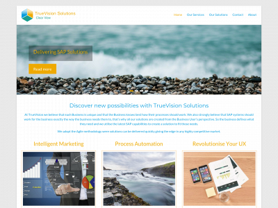 truevisionsolutions.com snapshot
