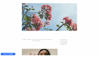 renatatolentino.weebly.com snapshot