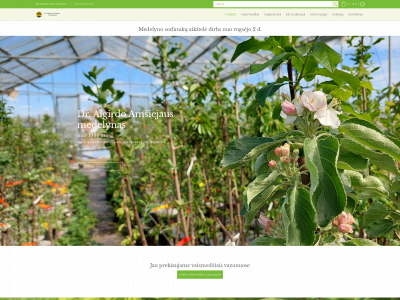 amsiejausmedelynas.lt snapshot