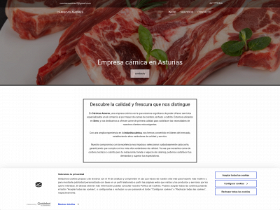 carnicasamores.com snapshot