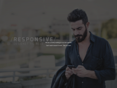 www.webanddesign.dk snapshot
