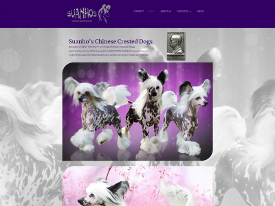 suanho.com snapshot