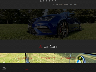 blcarcare.nl snapshot