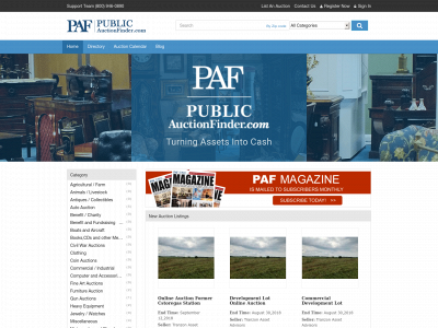 publicauctionfinder.com snapshot