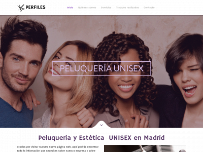 peluqueriayesteticaperfiles.es snapshot