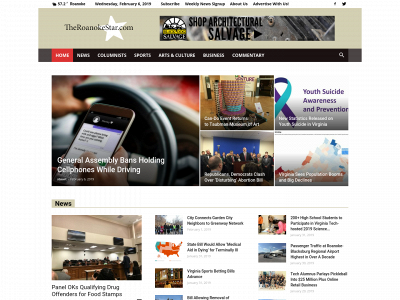 theroanokestar.com snapshot