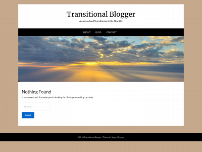 transitionalblogger.com snapshot