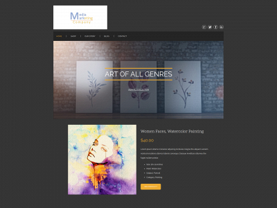 mediamarketingcompany.net snapshot