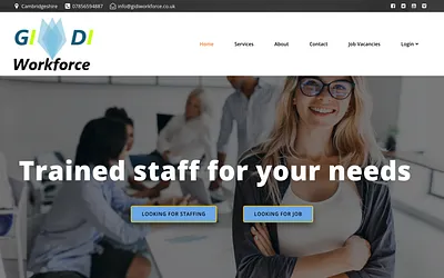 gidiworkforce.co.uk snapshot