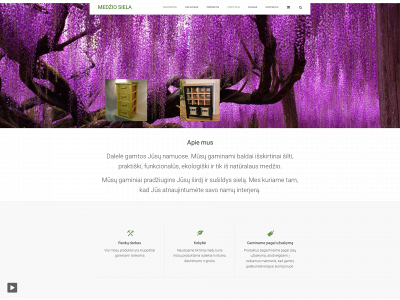 medziosiela.lt snapshot