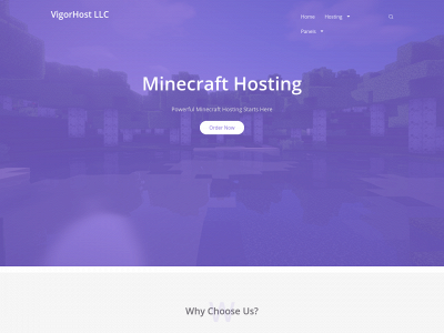 vigor.host snapshot