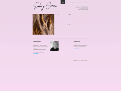 salongfrillan.se snapshot