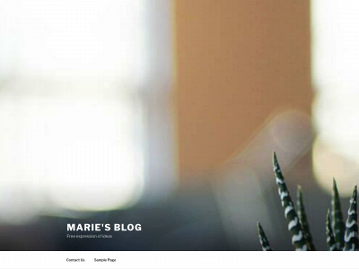 marieboundyblog.com snapshot