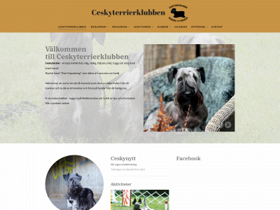 ceskyterrier.se snapshot