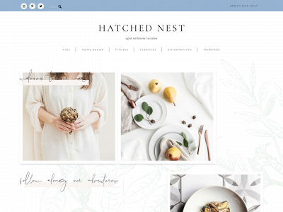 hatchednest.com snapshot