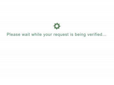 rhino-security.nl snapshot