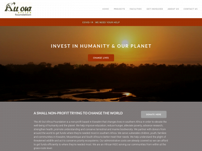 www.alloutafrica.org snapshot