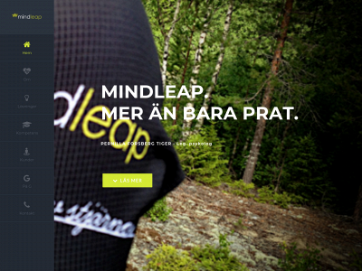mindleap.se snapshot