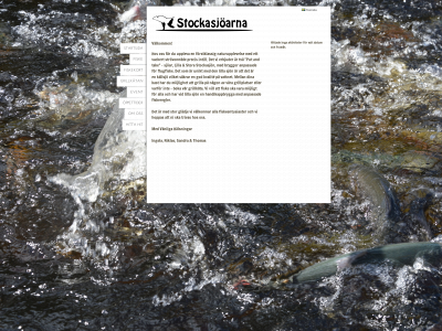 stockasjoarna.se snapshot